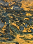 Delta Study 8