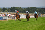 140726-Race 3-Pendella-0345