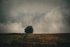 DSCF4203