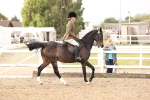 SBM_01538