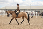SBM_14770