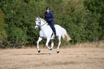 WJ6_6822