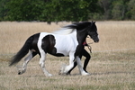 WJ7_8125