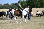 WJ7_2683