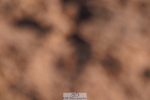 240505A-184954-07697