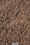 231028A-110958-00715