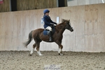 Cls 1 Walk Trot PC Test portfolio