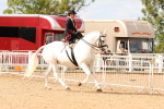 SBM_15923