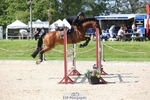 Saturday 13th - Western Counties Arena portfolio