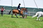 SBM_03736