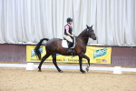 SBM_001882