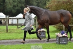 030-MONBEG.SHELBY-Kat.Raybould-TrotUp portfolio