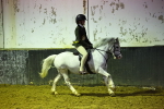 SBM_009335