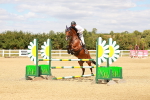 SBM_006679