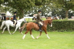 SBM_73687