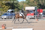 BPP_8299