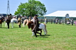 SBM_05800