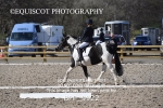 BPP_9922