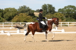 SBM_003878