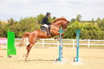 SBM_006508