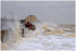 Walton Storm