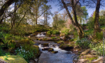 Nith Waterfall