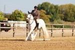 SBM_000325