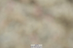 230630A-115529-01731