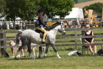 SBM_05391