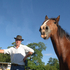 Spancil Hill Horse fair