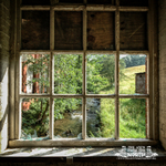 Edenwood 4
