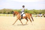SBM_008418