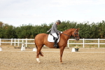 SBM_007424