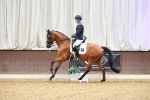 SBM_003852