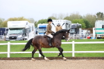 SBM_00250