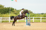 SBM_001191