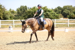 SBM_009497