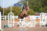 Cls 15 British Novice and 90cm Open portfolio