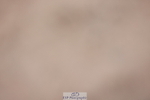 231112A-123015-04028