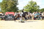 SBM_39374