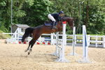 Class 13: Senior Newcomers/1.10m open portfolio