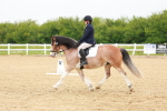 SBM_005957