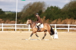 SBM_009387