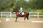 SBM_008801