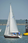 140621 9611Y RABBIT ME4_6460 302