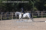 BPP_8433