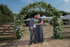 Sonja and Steve's Wedding 21/7/2018 portfolio
