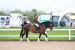 SBM_00223