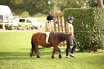 SBM_54235