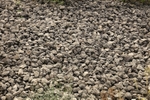 Stones